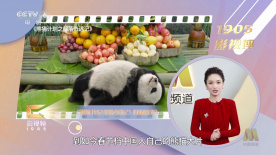 深夜释放自己黄瓜视频